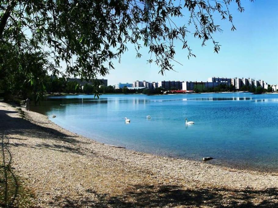 ברטיסלאבה Lake Apartment, 2X Free Garage, 10 Mins To Centre מראה חיצוני תמונה
